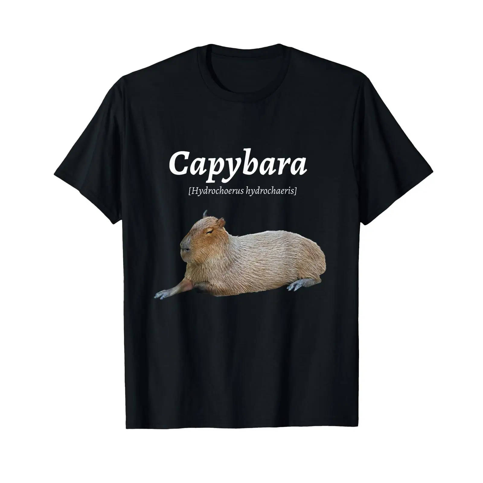 Vintage Fashion Definition - Funny Cute Capybara Capy Bara Water